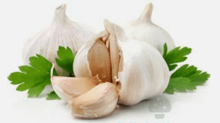 Ail de l'ail du champignon